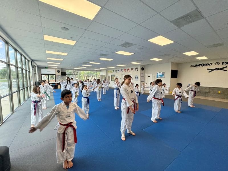 kids martial arts building confidence and discipline