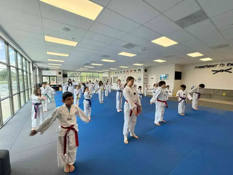 Taekwondo chamber technique practice for beginner kicking control