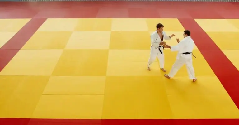 Two adult martial artists practicing techniques together on training mats during adults martial arts for beginners practice.